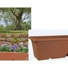 Puķu pods Domoletti TBTISB40-100, plastmasa, 40 cm x 17 cm, brūna krās.