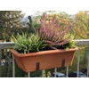 Puķu pods Domoletti TBTISB60-100, plastmasa, 60 cm x 17 cm, brūna krās.
