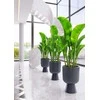 FORM PLASTIC Gėlių vazono forma plastikinė KELI MIKA 5130-014, plastikas, antracito spalvos