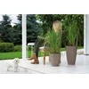 Gėlių vazonas Form Plastic Mika 5090-051, plastikinis, rudas