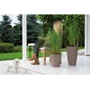 Gėlių vazonas Form Plastic Mika 5095-051, plastikinis, rudas