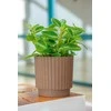 FORM PLASTIC Gėlių vazonas Mika Cyli Ruda 18cm