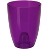 FORM PLASTIC Gėlių vazonas Orchid 13 Permatomas violetinis