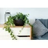 Lamela Doniczka misa Mira ECO Recycled 240 mm H: 14 cm