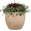 Scheurich FLOWER POT 866/19 CANELA D19