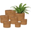 Scheurich POT SEAGRASS 508/22 NUT D22