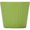 Scheurich Dekoratyvinis gėlių vazonas DISPLAY EXPRESSIVE D7cm keraminis/spalvotas