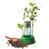 Kūrybos rinkinys Clementoni Botany 50924