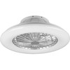 Lubinis šviestuvas REALITY Lubų ventiliatorius su lempa R62522987, 40 W, 1 vnt.