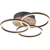 REALITY Lubų šviestuvas Trio Circle R62823135, LED, 2700 - 6000 °K, 1 x 27 W