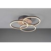 REALITY Lubų šviestuvas Trio Circle R62823135, LED, 2700 - 6000 °K, 1 x 27 W