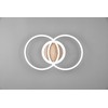 REALITY Šviestuvas lubinis Trio Giro R62783635, LED, 2700 - 6000 °K, 1 x 25 W