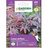 Ricinos sėklos Garden Center, 7 g