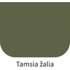Dažai Rilak AKVATOP žalia tamsūs 3.6 L