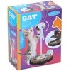 Žaislas katėms „Pet Toys“, įvairiaspalvis