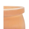 Žaislas šuniui Flamingo 45859