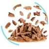 Royal Canin FHN Sensory Feel gravy kačių konservuotas pašaras, 85 g, maišelyje