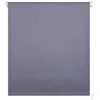 Rullo žalūzijas Domoletti Blackout Silv 061, pelēka krās., 60 cm x 185 cm