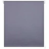 Rullo žalūzijas Domoletti Blackout Silv 061, pelēka krās., 180 cm x 185 cm