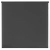 Rullo žalūzijas Domoletti BSC-210, tumši pelēka krās., 120 cm x 190 cm