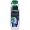 Palmolive Men Invigorating Nuo pleiskanų
