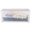 Sandėliavimo dėžė su dangčiu, skirta laikyti Curver 196065, 45 l, skaidri/balta, 59,6 x 39,4 x 23 cm