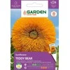 Saulėgrąžų sėklos Garden Center MEŠKIUKAS, 2 g