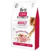 Brit Care Cat GF Adult Activity Support (šviežia vištiena ir Turkija) 2kg
