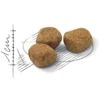 Royal Canin FHN kačių maistas patalpoms (7+) 1,5kg