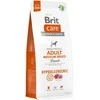 Sausā suņu barība Brit Care Medium Breed su ėriena ir ryžiais, jēra gaļa, 3kg