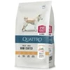 QUATTRO sausas visų veislių suaugusių aktyvių šunų pašaras Extra poultry (45ft), 3kg