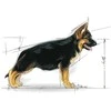 Royal Canin SHN Dog Maxi Puppy 1kg