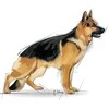 Royal Canin Maxi Adult 15kg