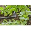 „Gardena“ mikrolašelinė laistymo sistema 13212-20 (3/16") 10 vnt.