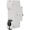 Schelinger Automatinis jungiklis 1P-C10A 10A C tipo
