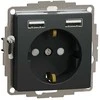 Schneider Electric Kištukinis lizdas SCHNEIDER Sedna Design, su užsklanda + 2 USB, 4A, antracitas; SDD114052