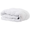 Domoletti Dymo BLANKET MICROFIBER/CARB 160X200 350GM2