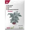 Sėklos Baltic Agro pilkalapis kryžmažiedis M. Silverdust, 6 g