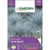 Sėklos Garden Center eraičino Mėlynas SELECT, 0,5 g