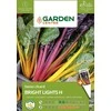 Sėklos Garden Center, burokėlių lapai BRIGHT LIGHTS H, 1 g