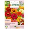 Cinijos Diablo sėklos Garden Center, 0,5 g