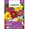 Dahlia Mignon sėklos Garden Center, 0,5 g