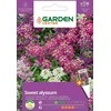 Jūros sidabražolės sėklos Garden Center, 0,5 g