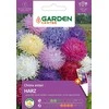 Sėklos Garden Center Kininis astras Harz, 0,5 g