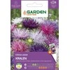 Sėklos Garden Center Kininė astra Kralen, 0,5 g