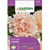 Sėklos Garden Center Kininis astras Paeony, 0,5 g