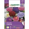 Sėklos Garden Center Kininis astras POMPON, 0,5 g