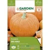Sėklos Garden Center, moliūgas BIG MAX, 2 g