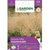 Sėklos Garden Center lenkta smilga GOLDSCHLEIER, 1 g