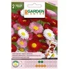 Sėklos Garden Center sausmedis, 0,2 g
